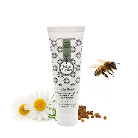 Masque visage purifiant